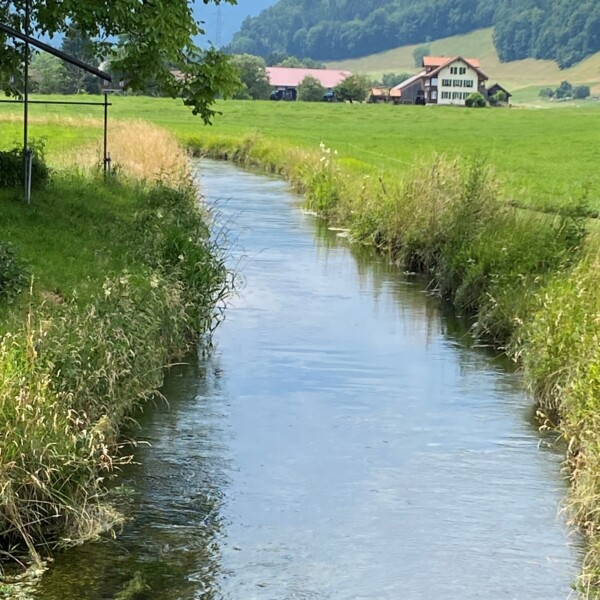 Ein klarer Bach fließt durch grüne Grasfelder, im Hintergrund sind Bauernhäuser und Bäume zu sehen, und in der Ferne erheben sich Hügel unter einem teilweise bewölkten Himmel.
