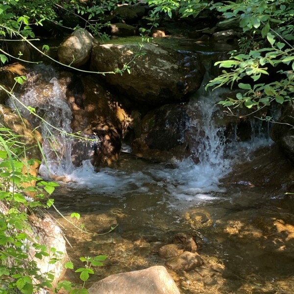 Ein kleiner Bach - wie die Simme - fließt über Felsen, umgeben von üppigem Grün, und das Sonnenlicht bricht durch die Bäume und glitzert auf dem klaren Wasser.