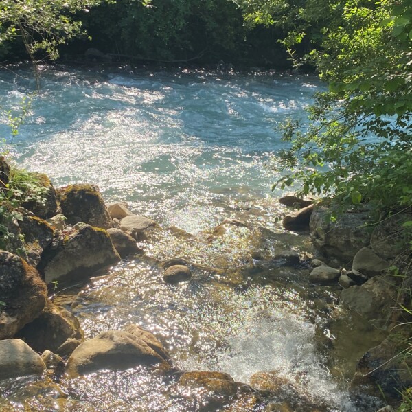 Ein kleiner, felsiger Bach wie der Goldbach mündet in die größere Simme, deren glitzerndes, sonnenbeschienenes Wasser inmitten üppig grüner Bäume und Blätter schimmert.