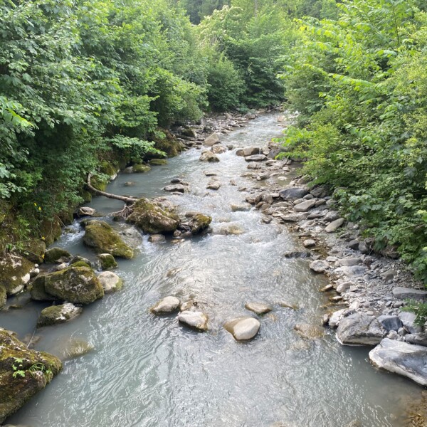 Die Kleine Simme, ein schmaler, felsiger Bach, fließt durch einen üppigen, grünen Wald. Das Wasser schlängelt sich um große Steine und moosbewachsene Felsen, umgeben von dichten Bäumen und Laub auf beiden Seiten.