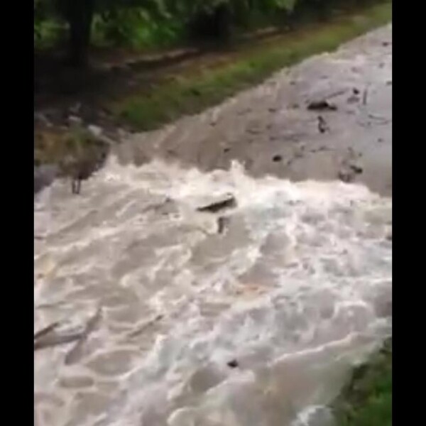 Schnell fließendes, schlammiges Hochwasser rauscht durch einen grasbewachsenen, von Bäumen gesäumten Graben und trägt Geröll und Äste mit sich. Nach starkem Regen erscheint das Wasser turbulent und kraftvoll.