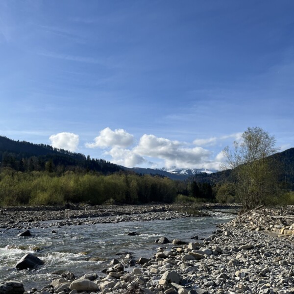 Ein felsiger Fluss fließt durch ein Tal mit grünen Bäumen und Hügeln unter einem blauen Himmel mit vereinzelten Wolken; in der Ferne sind schneebedeckte Berge zu sehen.