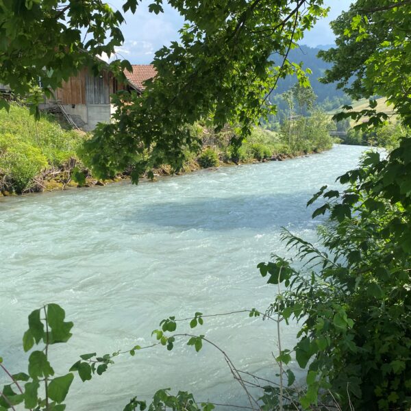 Ein klarer, schnell fließender Fluss, gesäumt von grünen Bäumen und Sträuchern, mit einem rustikalen Holzgebäude, das teilweise am linken Ufer zu sehen ist, und Sonnenlicht, das durch die Blätter fällt.