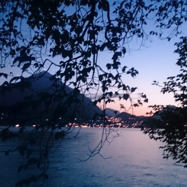 Eine ruhige Seeansicht in der Abenddämmerung, mit Baumzweigen im Vordergrund, ruhigem Wasser, fernen Hügeln und einer sanft beleuchteten Stadt am Ufer unter einem verblassenden blauen und orangefarbenen Himmel.