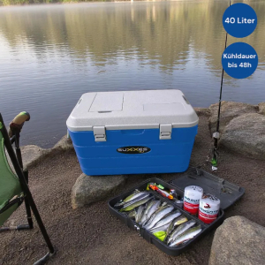 Blaue Kühlbox 40 Liter am See mit Angelrute und Fisch. Ideal für Camping und Angeln.