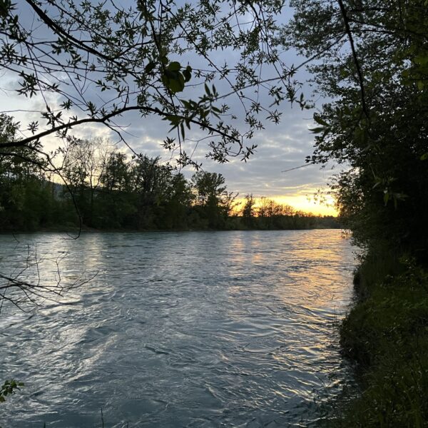 Ein ruhiger, sanft fließender Fluss mit Bäumen an beiden Ufern unter einem bewölkten Abendhimmel. Die Sonne geht in der Ferne unter, wirft einen goldenen Schein auf das Wasser und beleuchtet den Horizont.