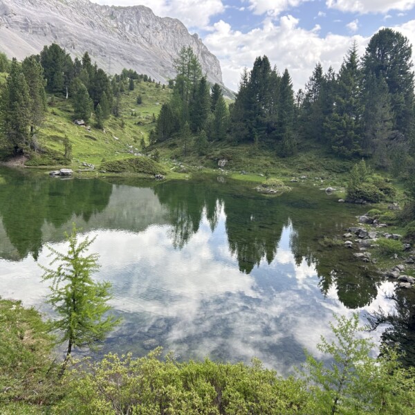 Ein ruhiger, klarer See spiegelt grüne Bäume und einen wolkenverhangenen Himmel wider, umgeben von üppigem Gras und felsigen Berghängen unter einem teilweise bewölkten blauen Himmel.