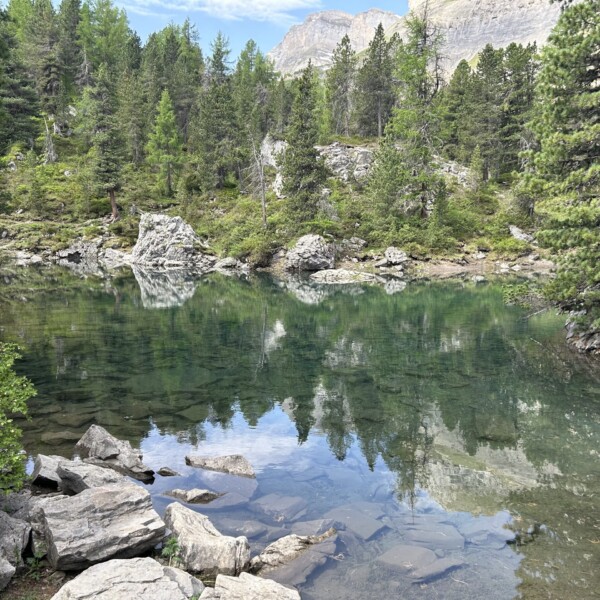 Ein klarer, ruhiger Bergsee, umgeben von Felsen und dichten grünen Kiefern, in dessen Wasser sich an einem hellen Tag die Bäume und der Himmel spiegeln.