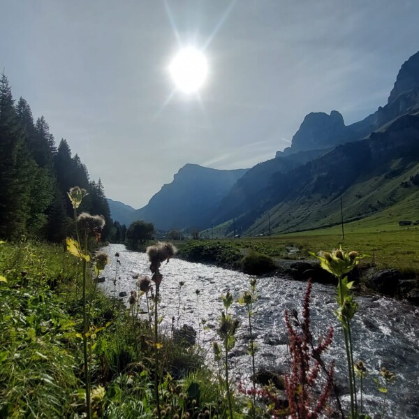 Fluss Fätschbach in einer grünen Berglandschaft unter strahlender Sonne.