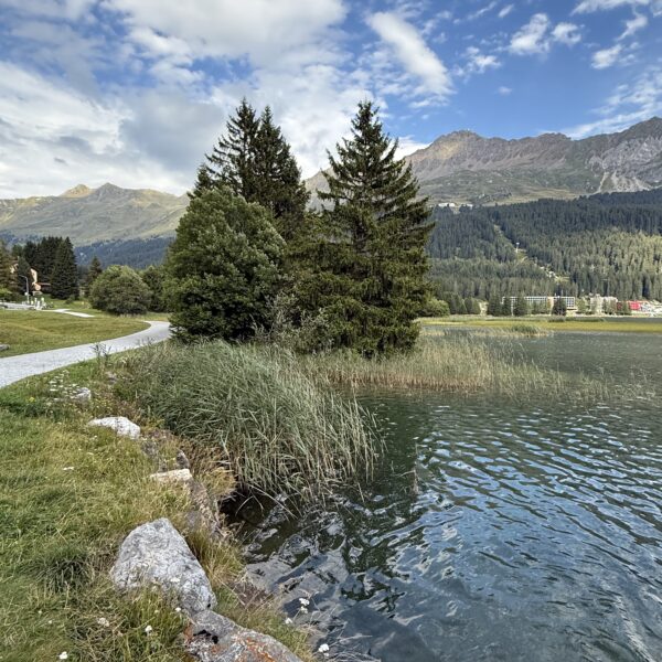 Heidsee-Seeufer mit Bäumen und Bergen im Hintergrund