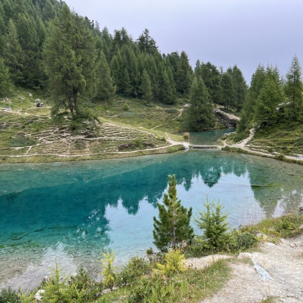 Ein klarer blauer See, der Lac Bleu bei Arolla, ist von grünen Tannen und grasbewachsenen Hügeln umgeben. Einige unbefestigte Wanderwege schlängeln sich unter einem blassen, bewölkten Himmel durch die Landschaft.