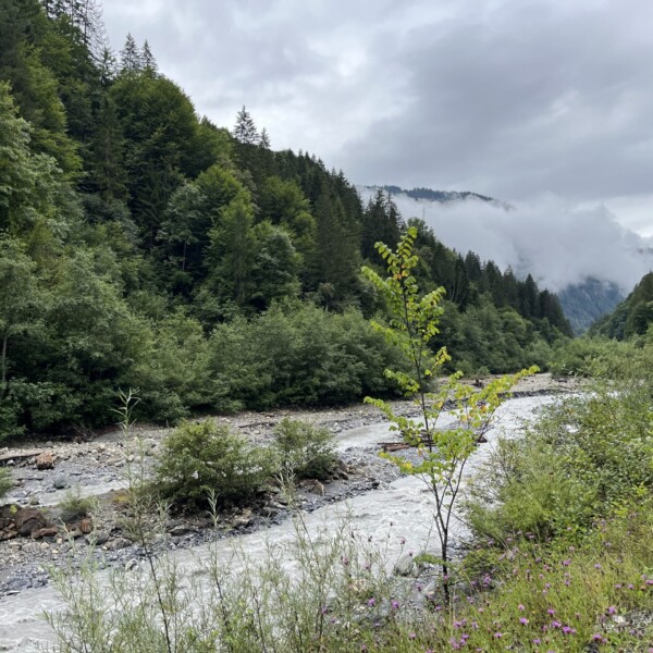 Ein schnell fließender Fluss fließt durch ein üppiges, grünes, bewaldetes Tal unter einem wolkenverhangenen Himmel, mit Bergen, die teilweise in Nebel gehüllt sind, im Hintergrund.