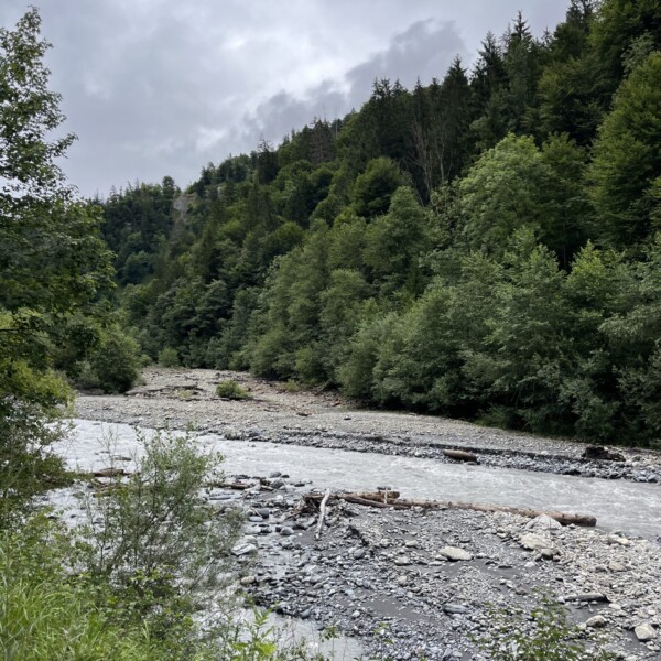 Ein felsiger Fluss schlängelt sich unter einem wolkenverhangenen Himmel durch einen üppigen, grünen Wald mit dichten Bäumen am Hang und Gras und Sträuchern am Flussufer.