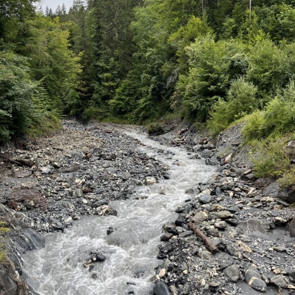 Ein felsiger Bach fließt durch ein bewaldetes Gebiet mit dichten grünen Bäumen und einem wolkenverhangenen Himmel über uns. Das Wasser fließt schnell über Felsen und Kieselsteine, umgeben von üppiger Vegetation und steilen, baumbewachsenen Hängen.