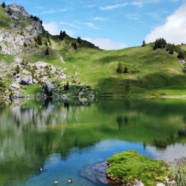 Ein ruhiger Bergsee mit klarem Wasser, in dem sich grüne Hügel und felsige Klippen spiegeln, vereinzelte Bäume und ein paar Enten, die unter einem teilweise bewölkten blauen Himmel in der Nähe des grasbewachsenen Ufers schwimmen.