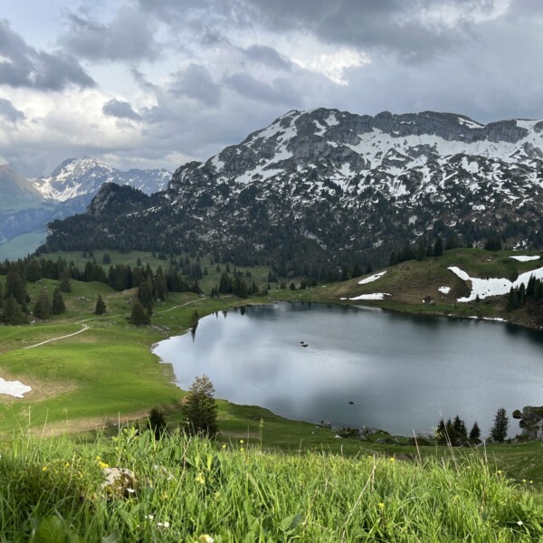 Eine malerische Aussicht auf einen ruhigen Bergsee, umgeben von grünen Wiesen, Nadelbäumen, Schneeflecken und hoch aufragenden schneebedeckten Bergen unter einem bewölkten Himmel.