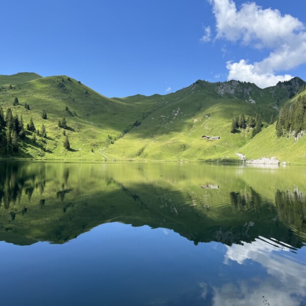 In einem klaren Bergsee spiegeln sich grüne Hügel, vereinzelte Bäume und ein strahlend blauer Himmel mit ein paar weißen Wolken; eine kleine Hütte steht in der Ferne am Hang.