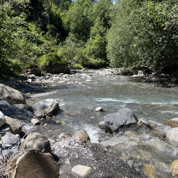Ein klarer, seichter Fluss fließt über Felsen und Kieselsteine in einem Waldgebiet, umgeben von üppig grünen Bäumen und hellem Sonnenlicht unter blauem Himmel. Ein abgeschnittener Baumstamm und Steine sind im Vordergrund zu sehen.