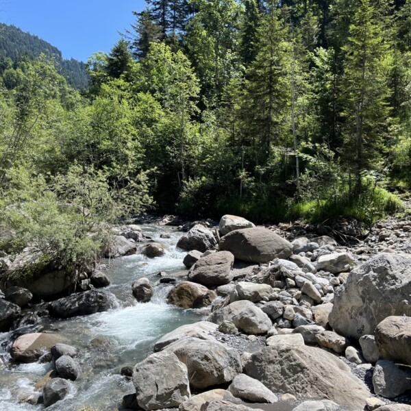 Ein klarer, felsiger Bach fließt durch einen üppigen grünen Wald mit hohen Bäumen und dichtem Blattwerk unter einem strahlend blauen Himmel, umgeben von Bergen.
