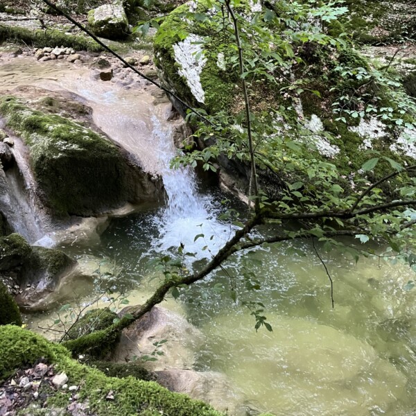 Im ruhigen Wald von Twannbach bei Douanne mündet ein kleiner Wasserfall in ein klares, grünliches Becken, das von moosbewachsenen Felsen und üppiger Vegetation umgeben ist.