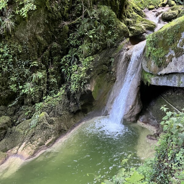 Ein kleiner Wasserfall, bekannt als Twannbach, fließt über moosbewachsene Felsen in ein grünes, klares Becken, das von üppiger Vegetation und Farnen in einer ruhigen Umgebung im Douanne-Wald umgeben ist.