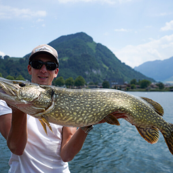 Eine Person mit Sonnenbrille und Mütze hält einen großen Hecht am malerischen Vierwaldstättersee, mit Bergen und Bäumen im Hintergrund, an einem sonnigen Tag.