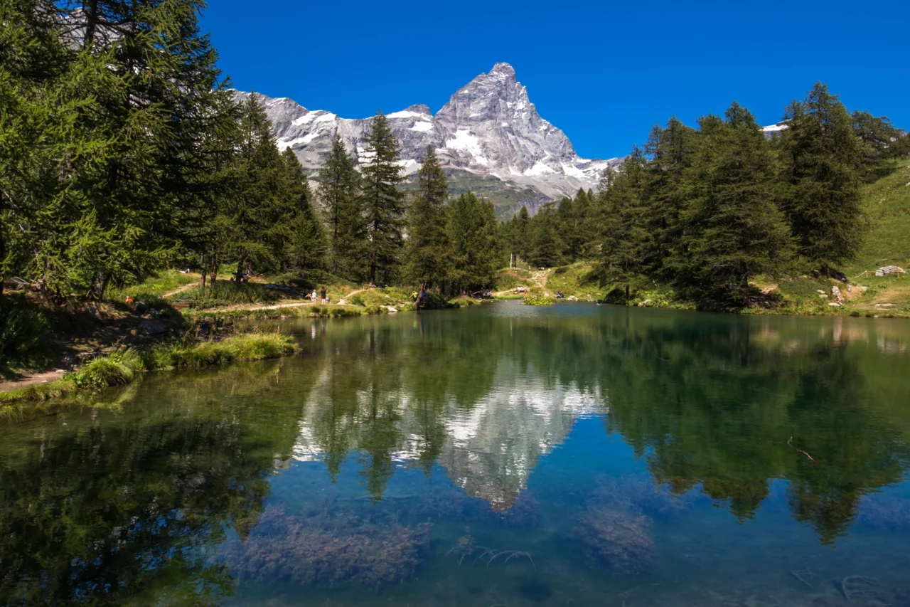 Ein klarer Alpensee, typisch für die Schweizer Bergseen, spiegelt immergrüne Bäume und einen schneebedeckten Gipfel unter einem strahlend blauen Himmel, mit saftig grünem Gras entlang des Ufers - ein idealer Ort zum Angeln oder um einfach die Landschaft zu genießen.