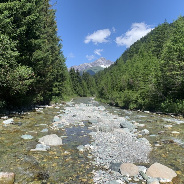 Fluss Gelgia (Julia) in den Bergen mit Bäumen und einem schneebedeckten Gipfel