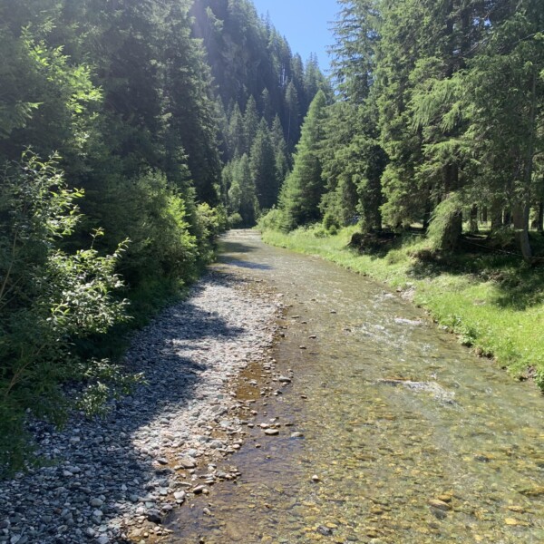 Fluss Gelgia (Julia) umgeben von Bäumen und grüner Natur