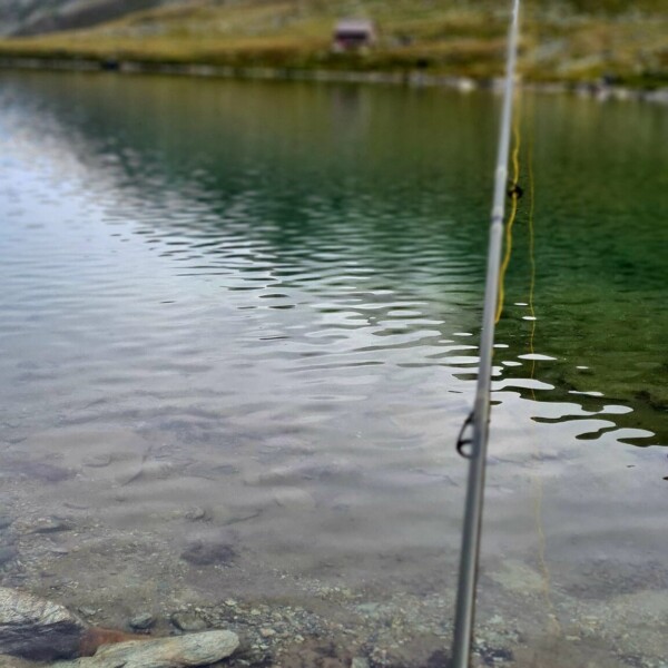 Angeln am Illsee: Angelrute im klaren Wasser eines Bergsees.