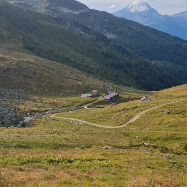Illsee: Berglandschaft mit Wiesen, Wanderweg und schneebedecktem Gipfel im Hintergrund.
