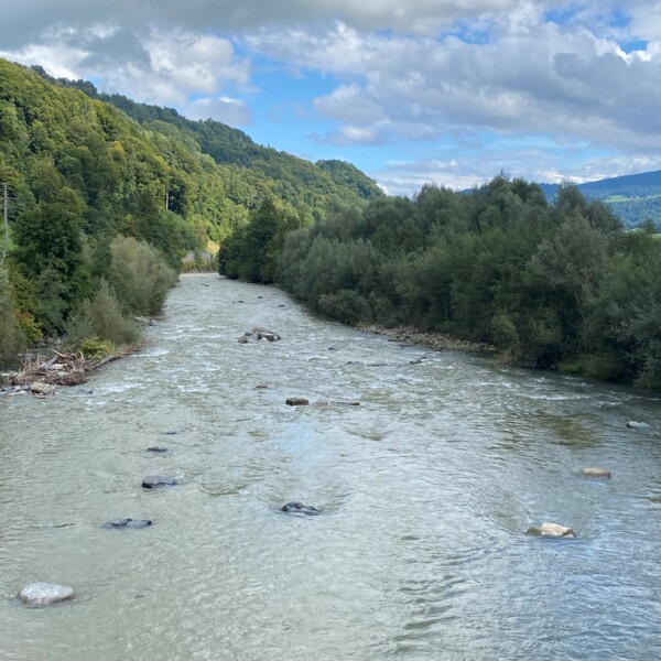 Kleine Emme Flusslandschaft mit bewaldeten Hügeln und Felsen im Wasser.