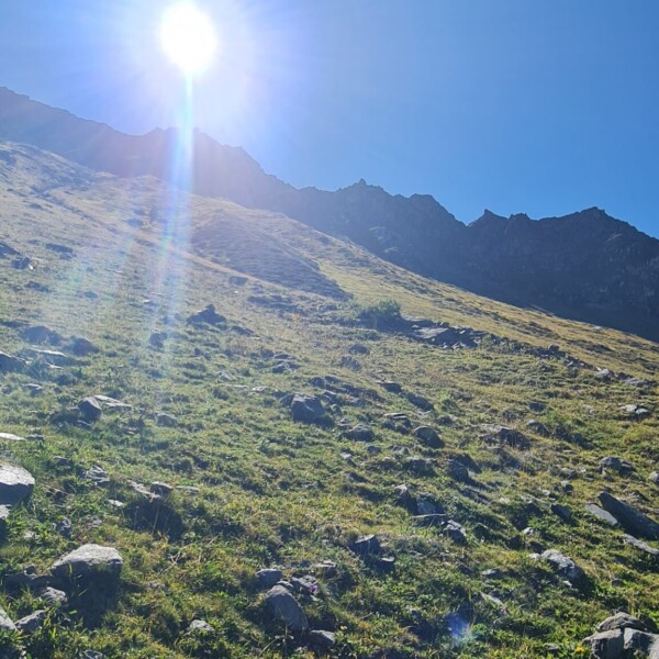 Sonniger Hang mit Felsen auf dem Weg zum Lac de Cleuson