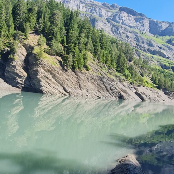 Lac de Derborence: Malerische Aussicht auf den See mit Bergen und Bäumen.