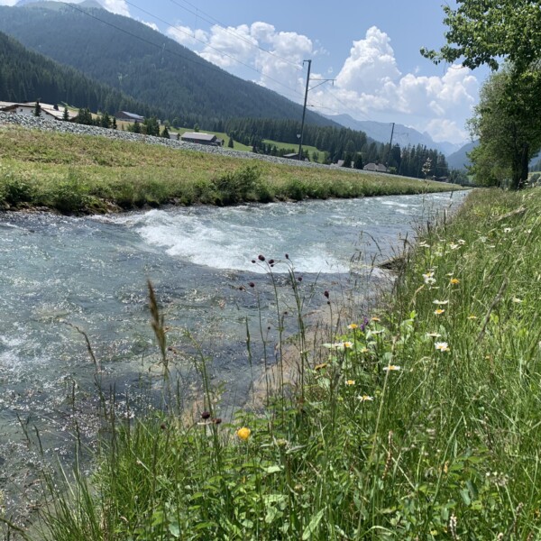 Fluss Landwasser mit Wiesen und Bergen im Hintergrund