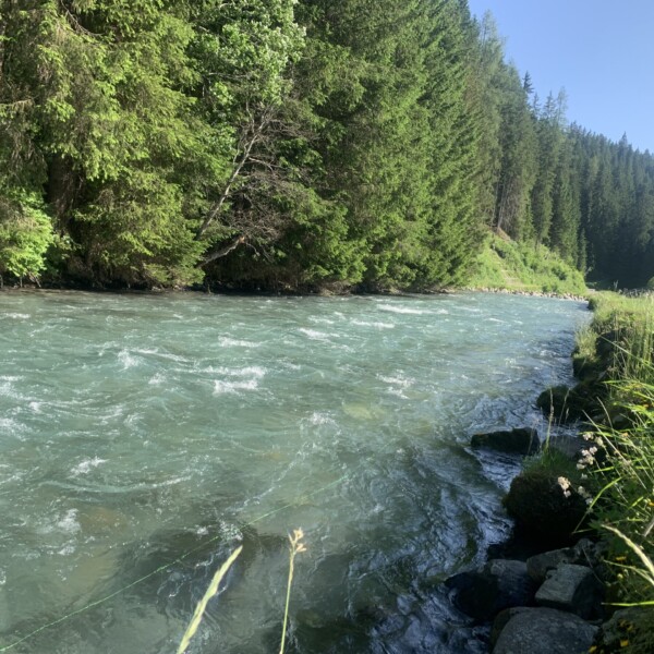 Türkisfarbener Landwasser Fluss fließt durch grüne Alpenlandschaft.