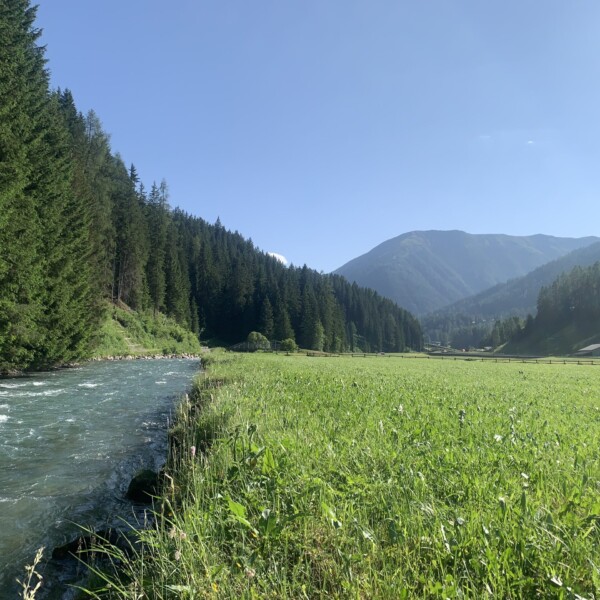 Fluss Landwasser neben grüner Wiese und Wald in den Bergen.