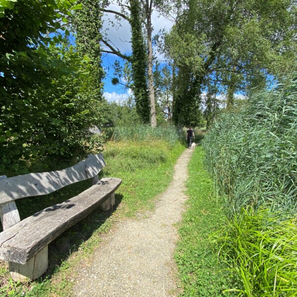 Holzbank am Wegesrand am Öliweiher, umgeben von Grün. Spaziergänger im Hintergrund.