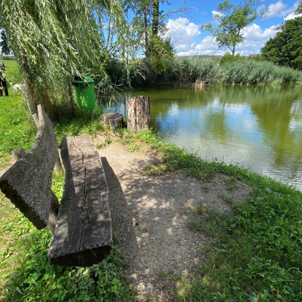 Bank am Öliweiher mit Blick auf den Teich und die Natur.