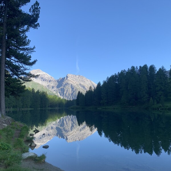 Lai da Palpuogna: Ruhiger Bergsee mit Spiegelung und bewaldeten Ufern.