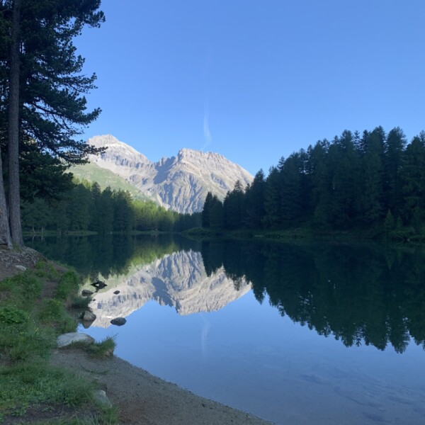Lai da Palpuogna: Spiegelung der Berge im klaren Bergsee mit Wald
