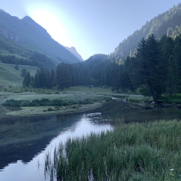Lai da Palpuogna: Ruhiger Bergsee mit Spiegelung und Wald im Morgenlicht.