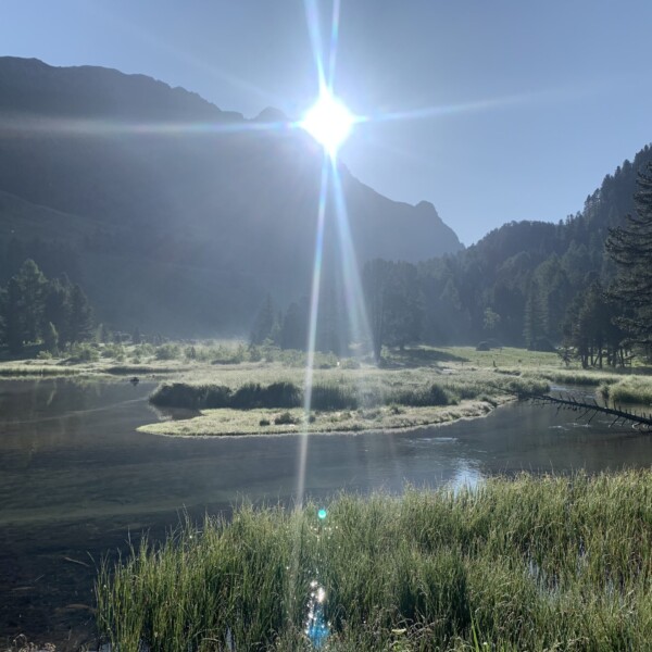 Lai da Palpuogna: Strahlender Sonnenschein über dem Bergsee mit Bäumen und Wiesen.