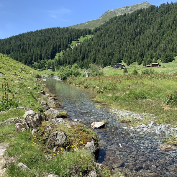 Schlappinbach fließt durch grüne Wiesen in den Schweizer Alpen, mit bewaldeten Hügeln im Hintergrund.