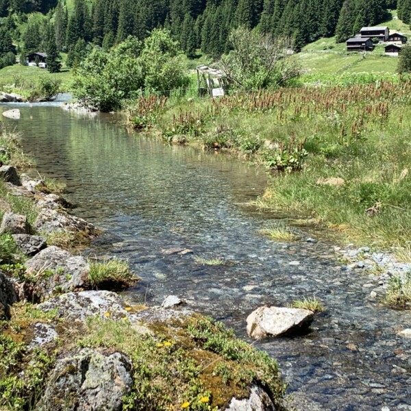 Klarer Schlappinbach-Bachlauf in grüner Landschaft mit Häusern im Hintergrund.