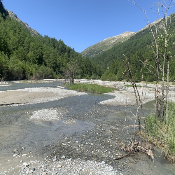 Fluss Susasca im Tal mit bewaldeten Bergen an einem sonnigen Tag.