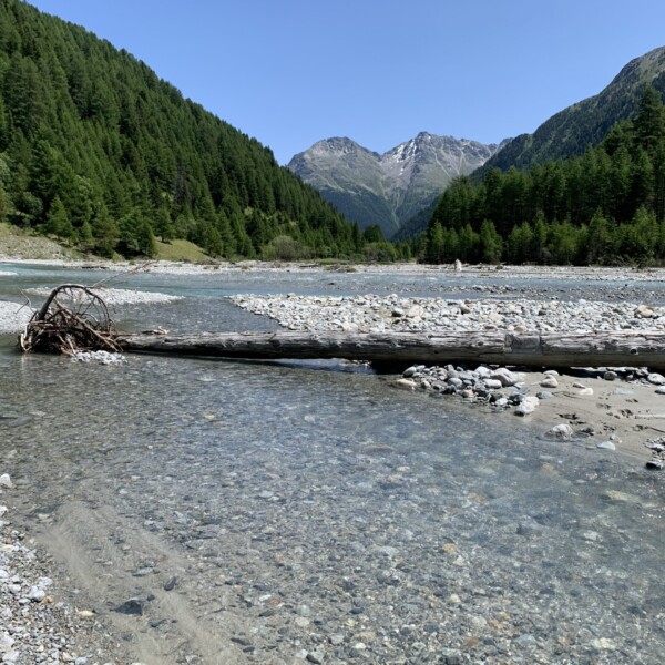 Fluss Susasca mit Baumstamm und Bergen im Hintergrund.