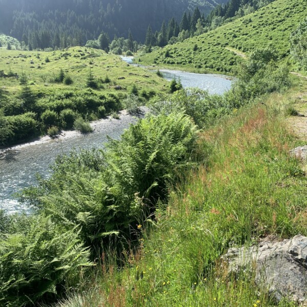 Vereinabach: Fluss schlängelt sich durch grüne Landschaft mit Wanderweg und Bergen im Hintergrund.