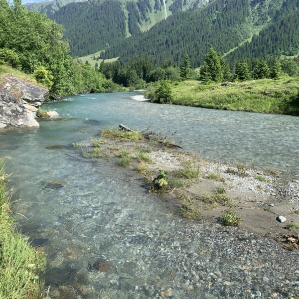 Klares Wasser des Vereinabachs fließt durch eine grüne Berglandschaft.