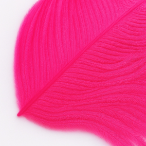 Straussenfeder, fluo pink: Detailaufnahme einer leuchtend pinken Feder.